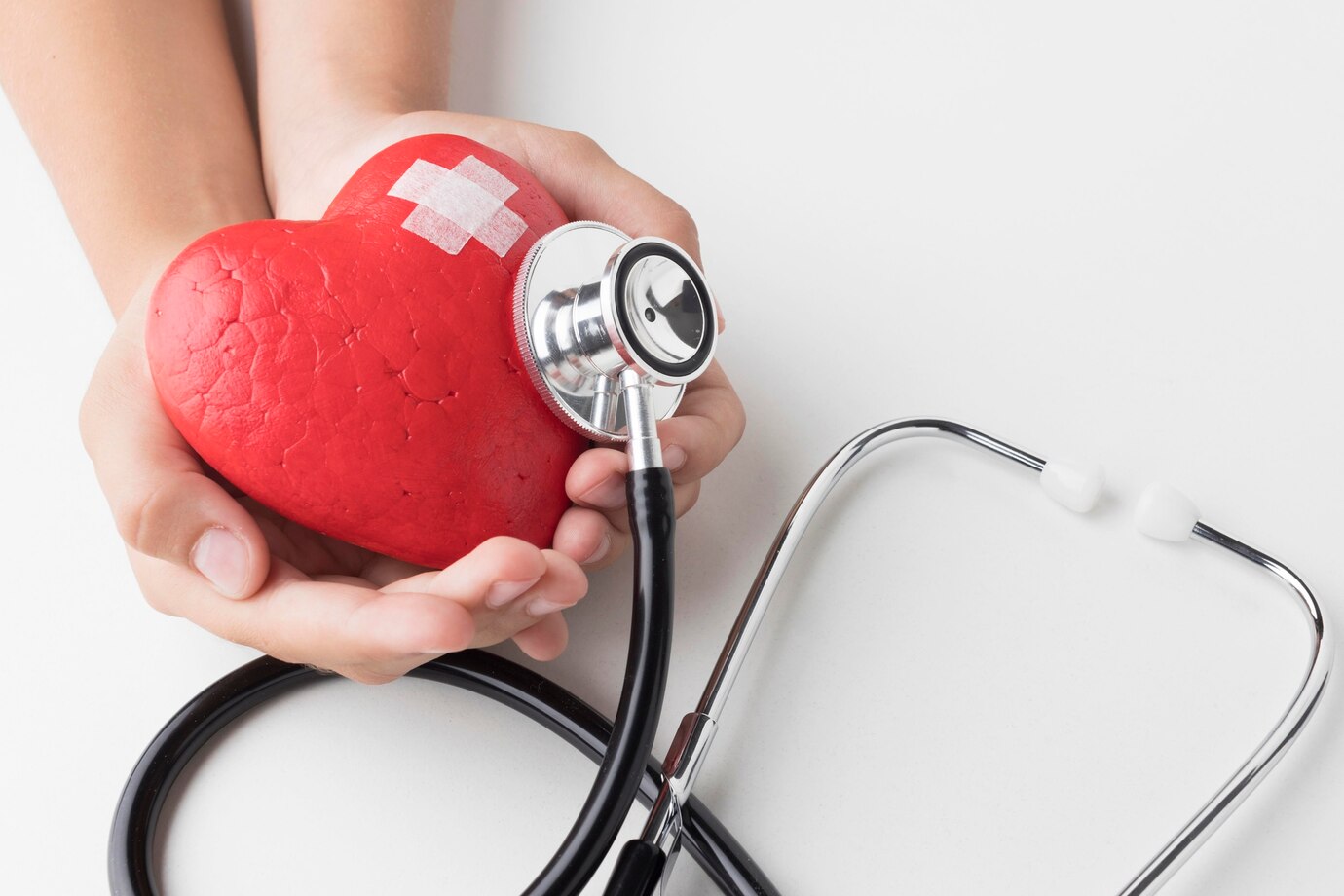 hjertet og det kardiovaskulære systemet
